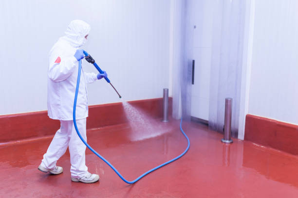Trusted Auburn, ME Pressure Washing Services Experts